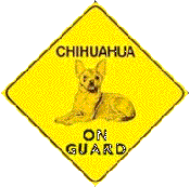 chihuahuaonguard.gif